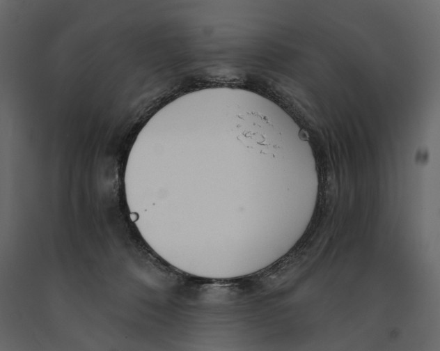 X0000090920320200708271029