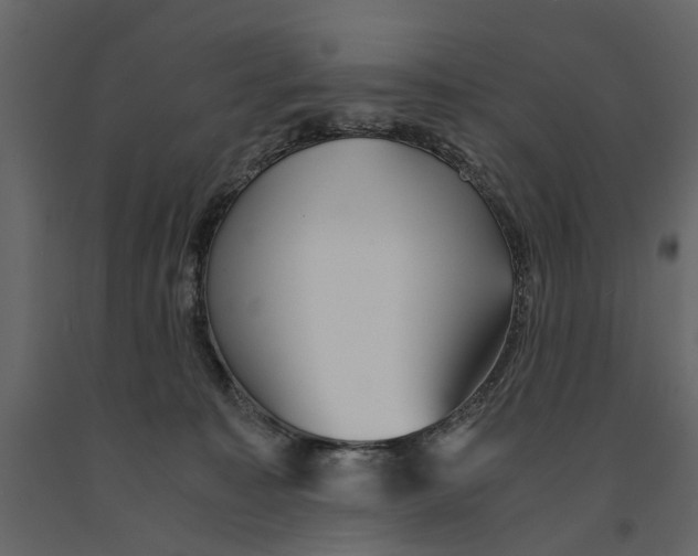 X0000090920323200708271029