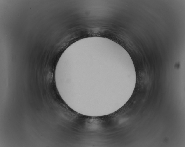 X0000090920324200708271029