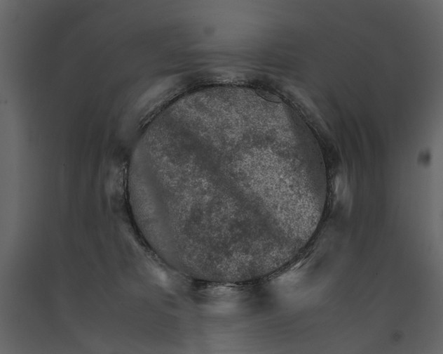 X0000090920325200708271029