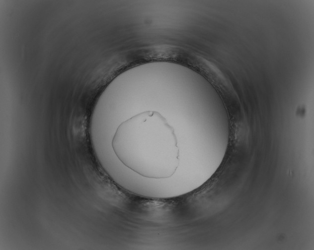 X0000090920326200708271029