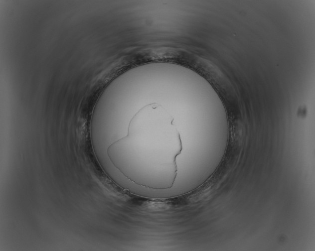 X0000090920327200708271029