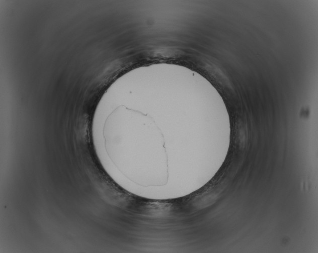 X0000090920328200708271029