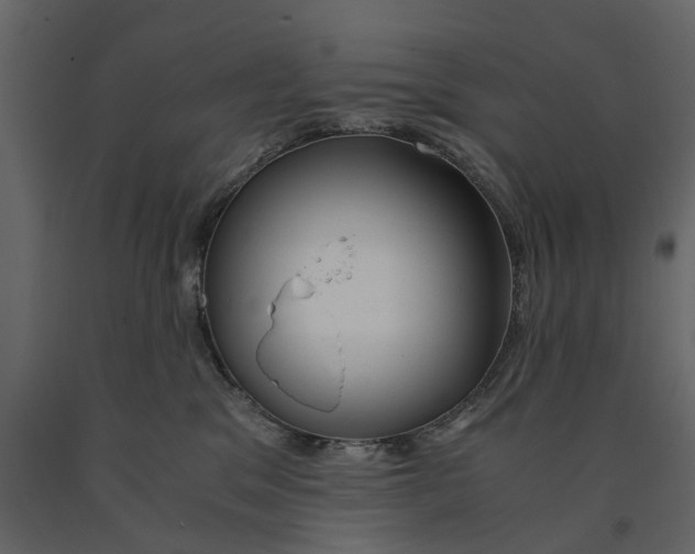 X0000090920329200708271029