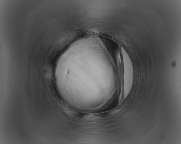 X0000090920331200708271029