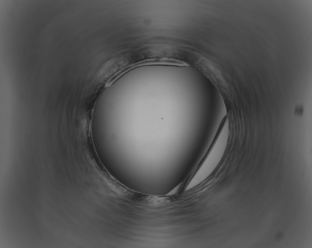 X0000090920333200708271029