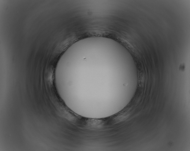 X0000090920334200708271029