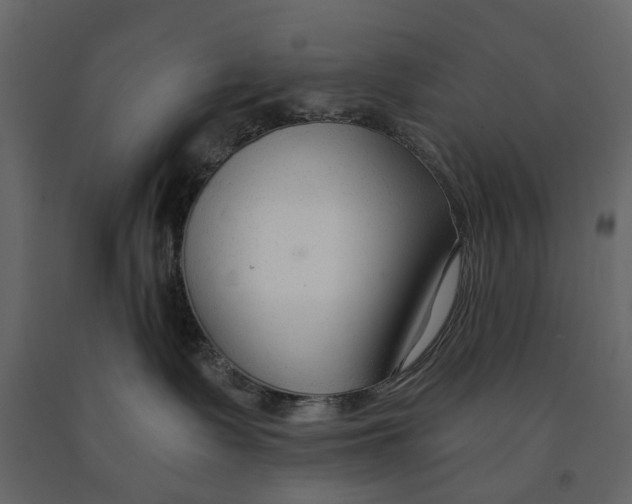 X0000090920335200708271029