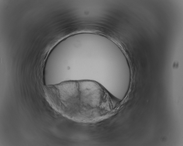 X0000090920337200708271029