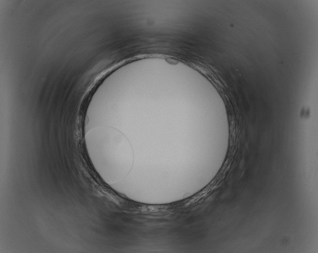 X0000090920338200708271029