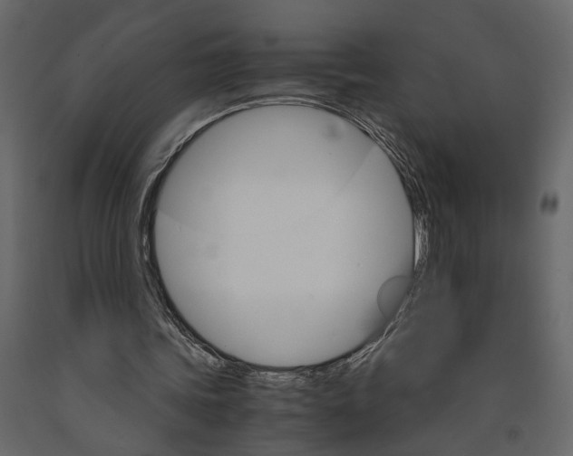 X0000090920339200708271029