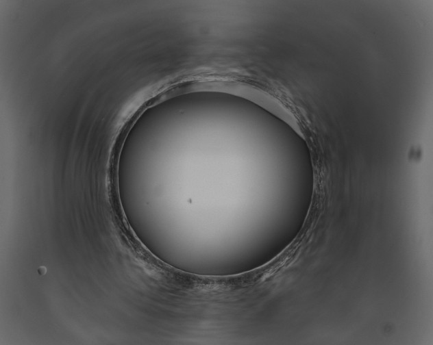 X0000090920340200708271029