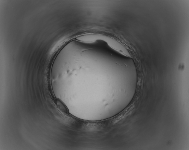 X0000090920341200708271029