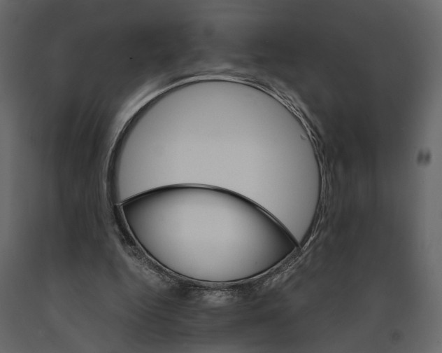 X0000090920344200708271029