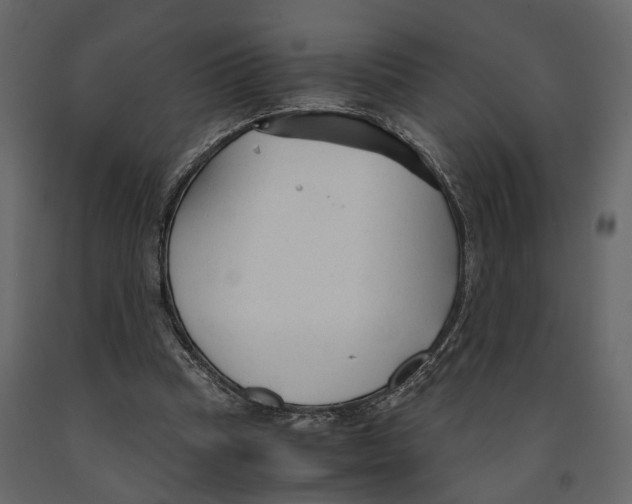 X0000090920345200708271029