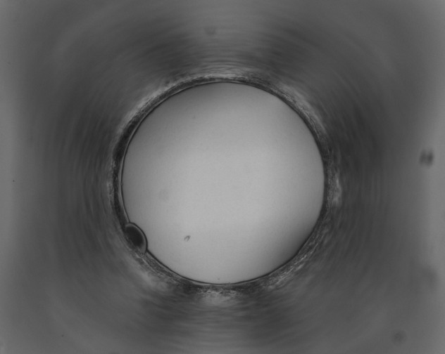 X0000090920346200708271029