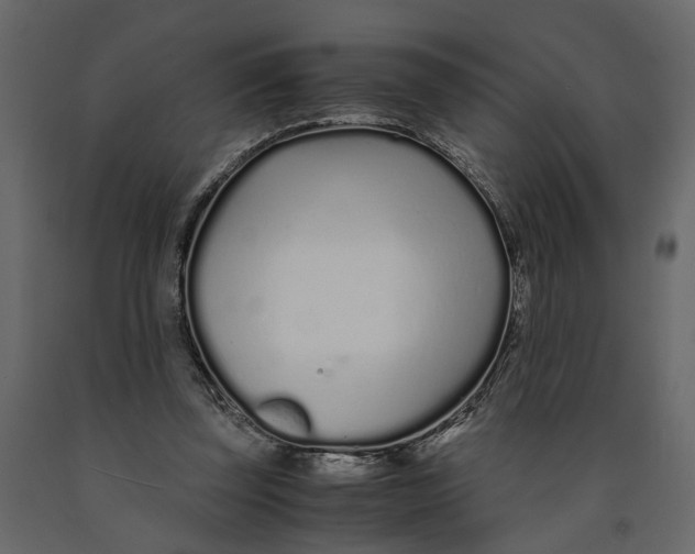 X0000090920347200708271029