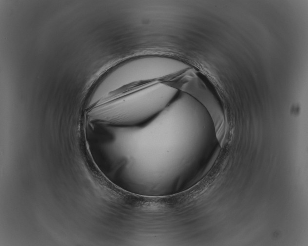 X0000090920348200708271029