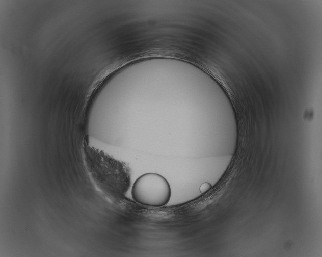 X0000090920349200708271029