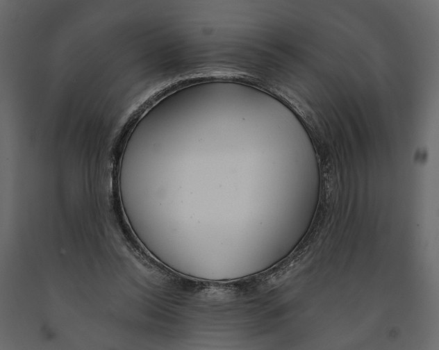 X0000090920350200708271029