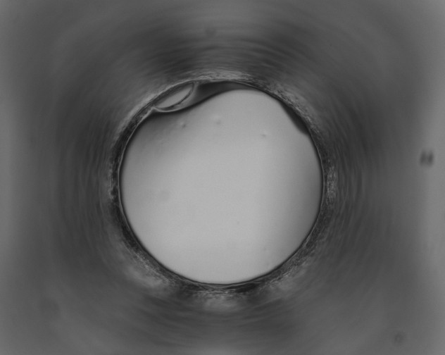 X0000090920351200708271029