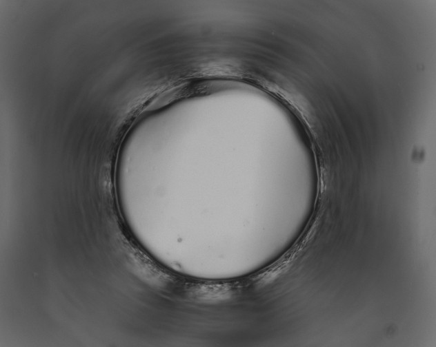 X0000090920353200708271029