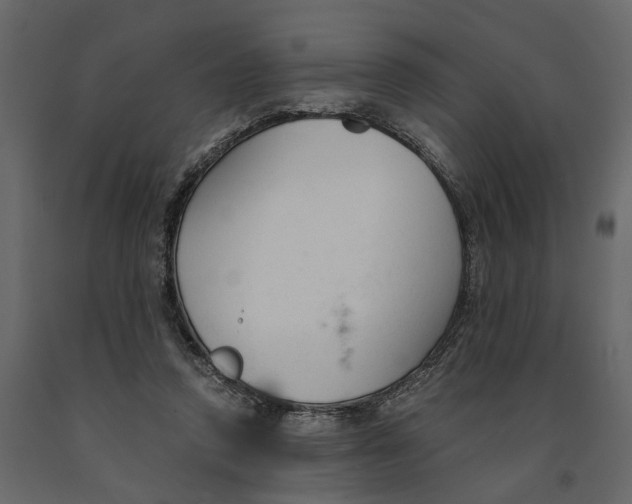 X0000090920354200708271029