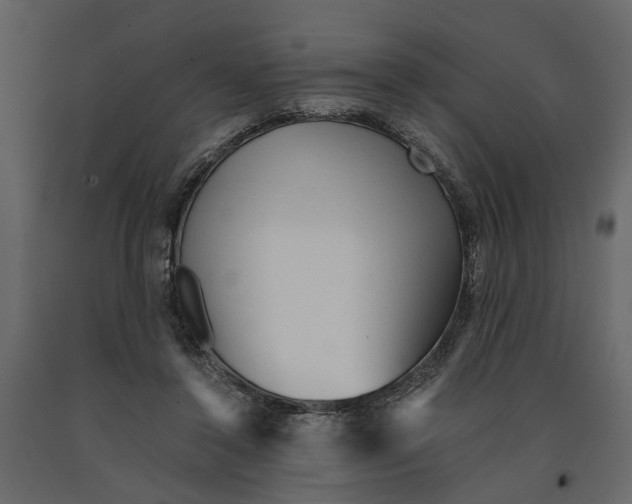 X0000090920356200708271029