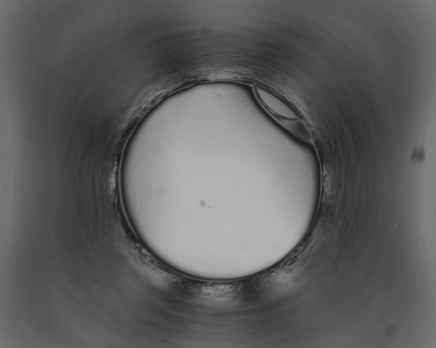 X0000090920357200708271029