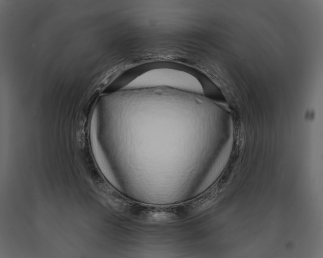 X0000090920360200708271029