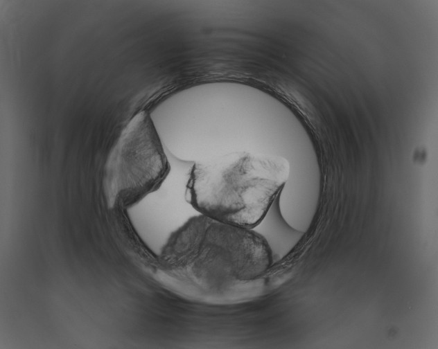 X0000090920361200708271029