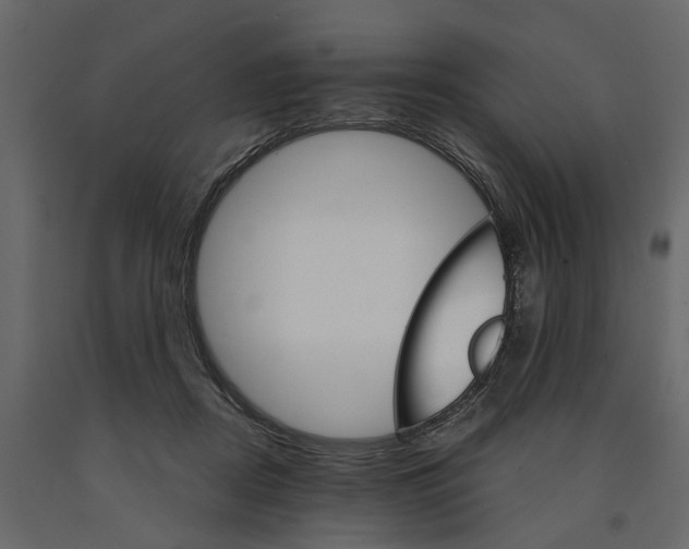 X0000090920362200708271029