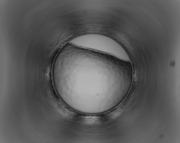 X0000090920363200708271029