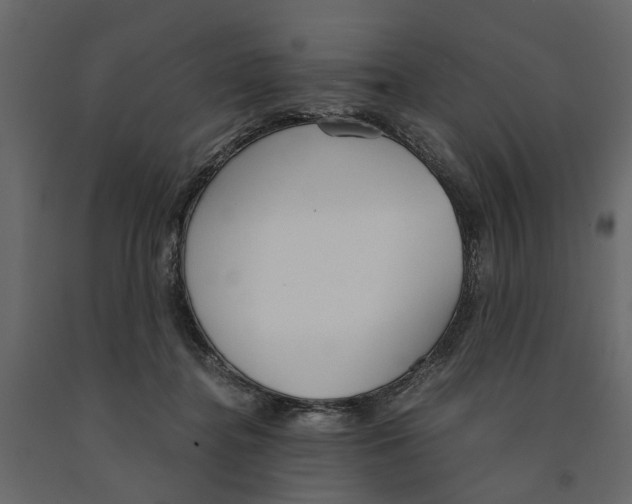 X0000090920364200708271029