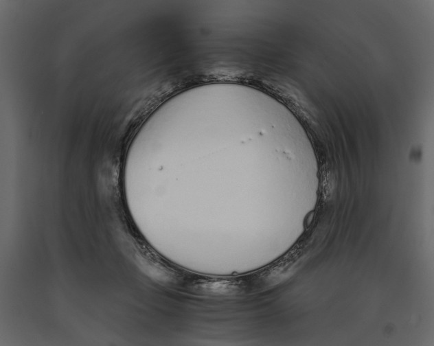 X0000090920365200708271029