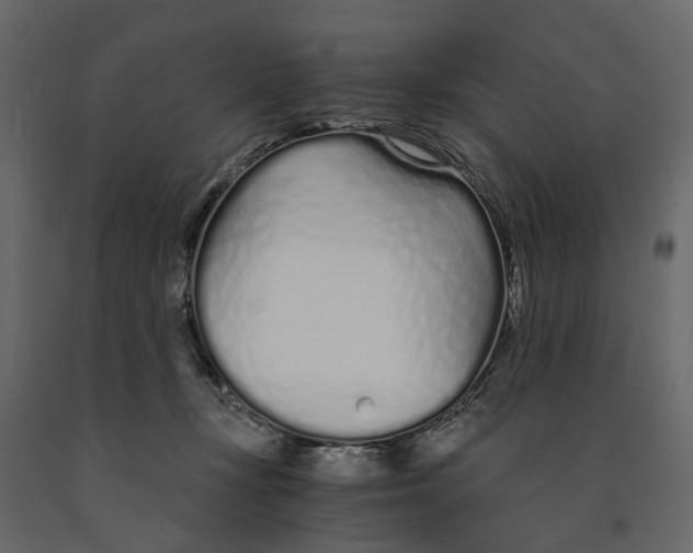 X0000090920367200708271029