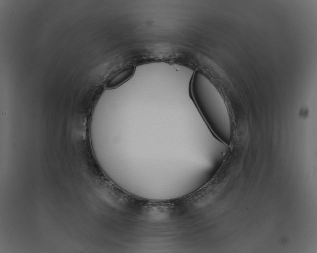 X0000090920368200708271029