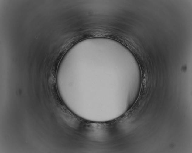 X0000090920371200708271029