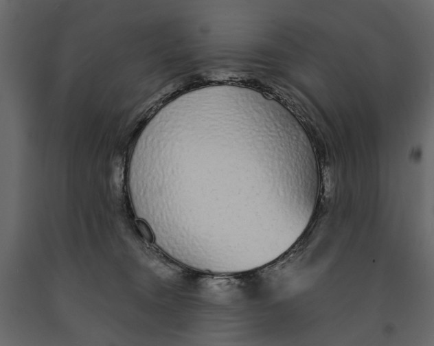 X0000090920372200708271029