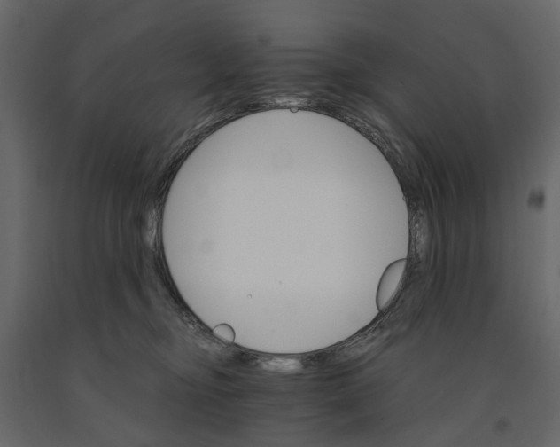 X0000090920374200708271029