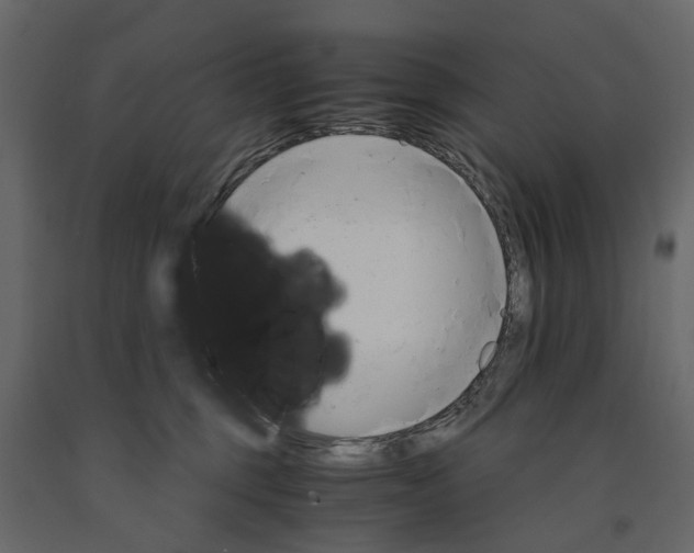 X0000090920375200708271029