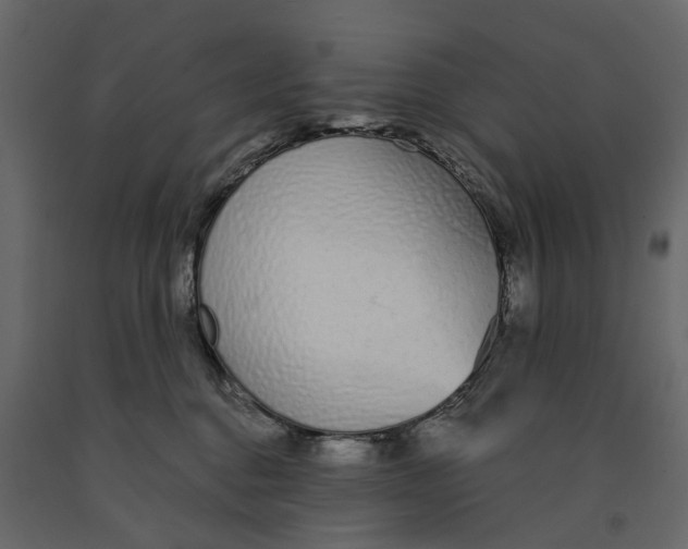 X0000090920376200708271029