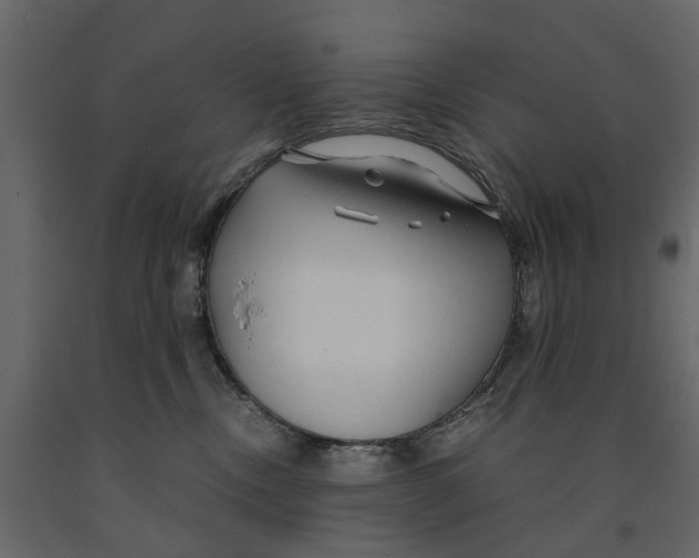 X0000090920378200708271029