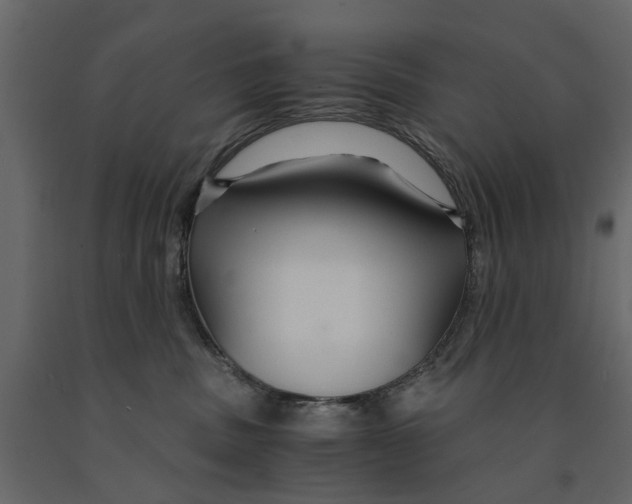 X0000090920379200708271029