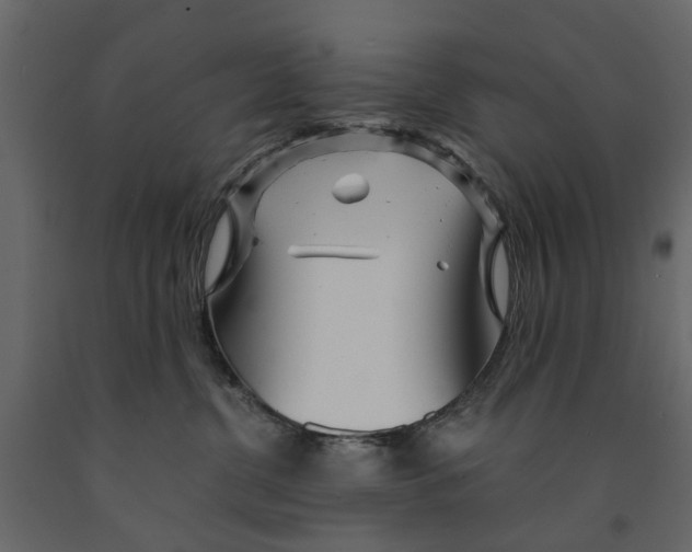 X0000090920380200708271029