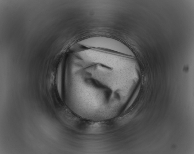 X0000090920382200708271029