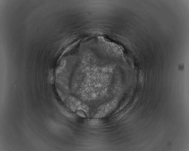 X0000090920383200708271029