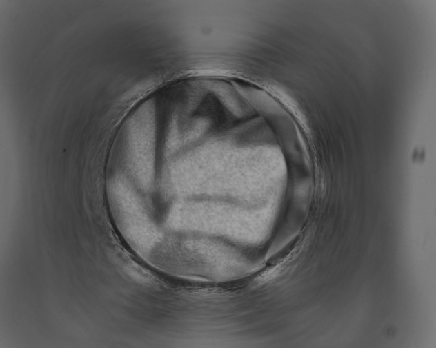 X0000090920385200708271029