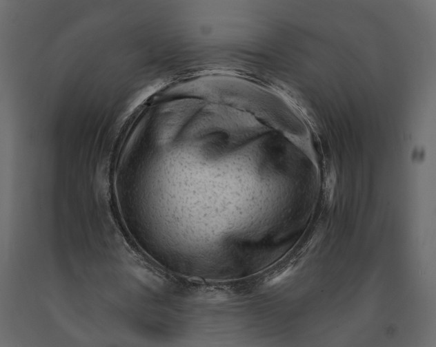 X0000090920386200708271029