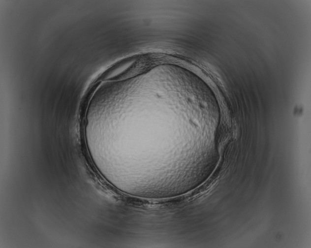 X0000090920388200708271029